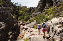 Grampians National Park Small-Group Eco Tour from Melbourne