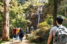 Grampians National Park Small-Group Eco Tour from Melbourne