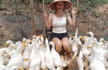 Conquering Duck massage at Duck Farm by Bicycle Tour