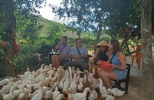 Conquering Duck massage at Duck Farm by Bicycle Tour