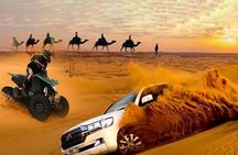 Red Dunes Safari Dubai,Sand Boarding,Camel Ride,BBQ, Live Shows