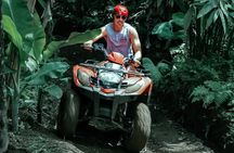 Bali ATV Adventure Through Jungle and Rice Fields