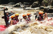 Ubud Ayung River Rafting with Hotel Transfer and Lunch