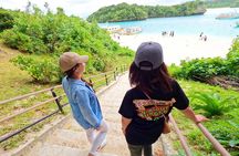 Ishigaki Island Private Tour with Local guide in English