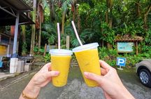 Ishigaki Island Private Tour with Local guide in English