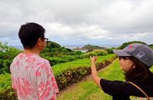 Ishigaki Island Private Tour with Local guide in English