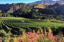Queenstown Wine Tour