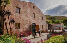 Queenstown Wine Tour