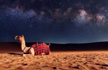 Doha Night Desert Safari Stargazing Camel Ride and Dune Bashing