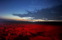 Doha Night Desert Safari Stargazing Camel Ride and Dune Bashing