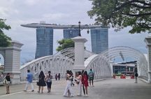 Singapore Morning Tour, Gardens by the Bay and Sentosa Transfer