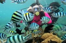Nha Trang Coral Adventure Snorkeling and Floating Bar Experience