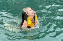 From Hanoi: Cat Ba Island- Lan Ha Bay Day Trip on Luxury Cruise