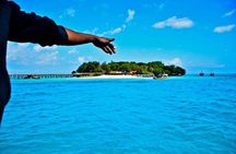 Private tour Stone Town , Prison Island & land turtle