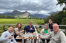 Franschhoek Half Day Winelands Mountain Bike Tour