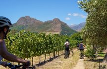 Franschhoek Half Day Winelands Mountain Bike Tour