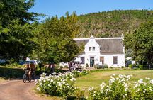 Franschhoek Half Day Winelands Mountain Bike Tour