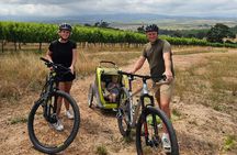 Stellenbosch Family Cycle Tour