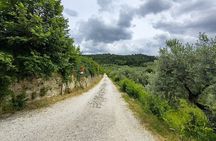 From Fiesole to Settignano between history, art and Tuscan landscapes