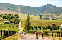 Stellenbosch Winelands Luxury EBike Tour ©
