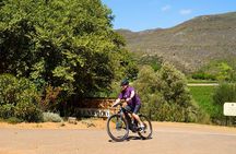 Franschhoek Winelands Luxury EBike Tour
