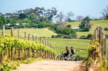 Stellenbosch Half Day Winelands Mountain Bike Tour