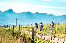 Stellenbosch Half Day Winelands Mountain Bike Tour