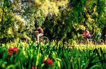 Stellenbosch Half Day Winelands Mountain Bike Tour