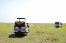 3 Day Masai Mara Budget Joining Safari on 4×4 - Daily Departures