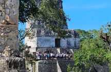 Guided Tour of Tikal from Flores with Lunch