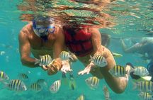 VIP Catamaran with Snorkeling