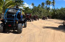Piñones Beach Buggy + El Yunque Waterfall Adventure