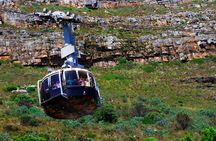 Table Mountain and Cape Peninsula Tour with Penguins 