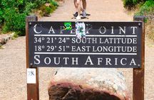 Cape of Good Hope and Penguins Half Day Tour 
