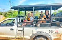 Yala National Park Safari Tours from Hambantota Port