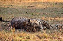 Yala National Park Safari Tours from Hambantota Port
