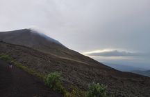 Pacaya Volcano Tour from Antigua Guatemala