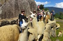Private Day Tour to Machu Picchu