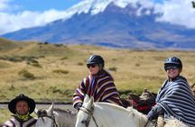 Private Cotopaxi National Park Horseback Ride hike for Beginners