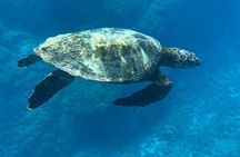 Snorkeling on Canyon Island