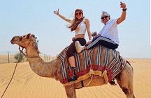 Desert Safari In Private Car