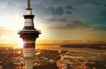 Auckland City Highlights Private Tour