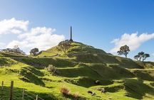 Auckland City Highlights Private Tour