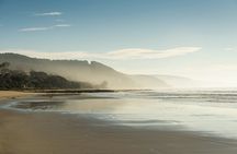 Great Ocean Road Private Foodies Tour with Lobster lunch!