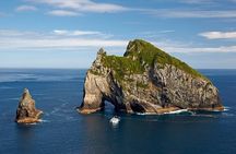 Bay of Islands Private Tour