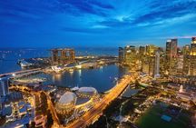 Night Wonders of Singapore Cruise Garden Rhapsody and Spectra