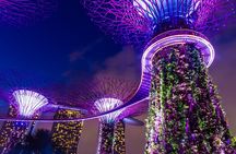 Shine Bright Like a Diamond Singapore Night Tour