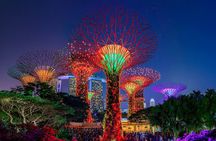 Singapore Starry Night Cruise : Spectra by Boat & Garden Rhapsody