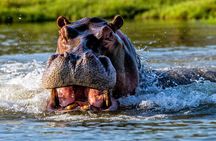 Richards Bay iSimangaliso Boat Cruise Tour