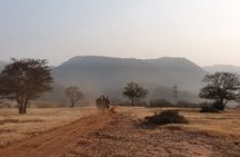 Ranthambore Official Guided Tiger Safari in Sharing Canter